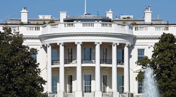 dreamstime s 8383930-696x385