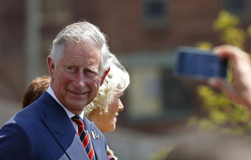 dreamstime s 24898094-e1741032297218