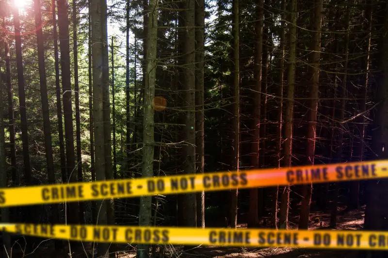 dreamstime s 170207507 (1)